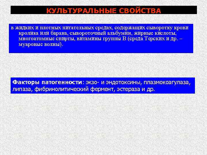 КУЛЬТУРАЛЬНЫЕ СВОЙСТВА в жидких и плотных питательных средах, содержащих сыворотку крови кролика или барана,
