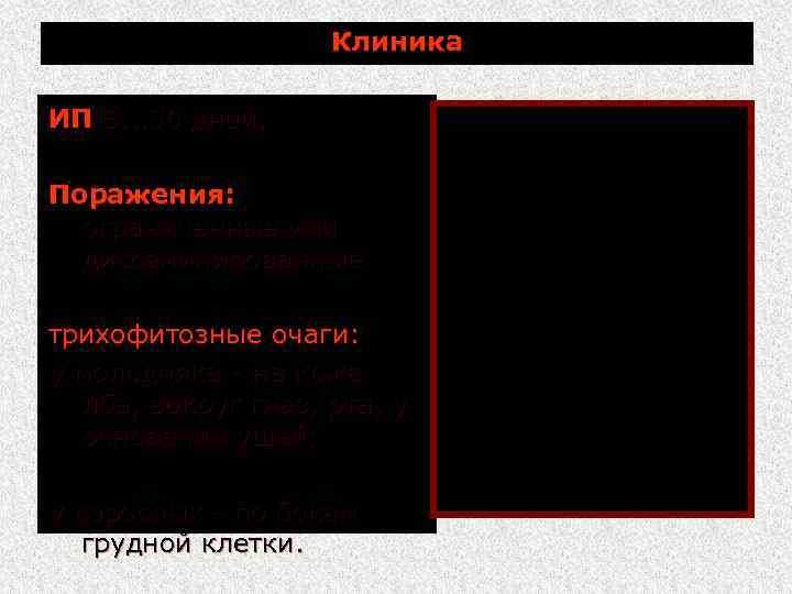 Клиника ИП 5. . . 30 дней. Поражения: ограниченные или диссеминированные трихофитозные очаги: у
