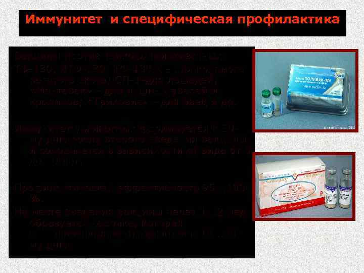 Иммунитет и специфическая профилактика Вакцины против трихофитии животных: ТФ 130, ЛТФ 130; ТФ 130