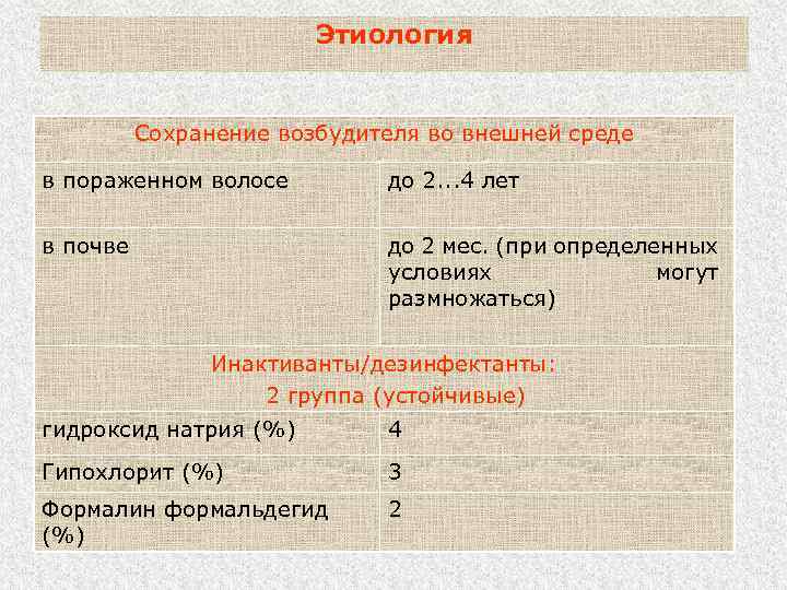 Этиология Сохранение возбудителя во внешней среде в пораженном волосе до 2. . . 4