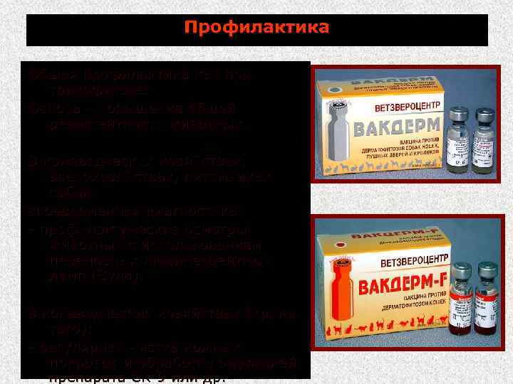 Профилактика Общая профилактика как при трихофитозе. Основа повышение общей резистентности животных. В коневодческих хозяйствах,