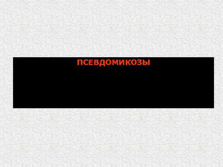 ПСЕВДОМИКОЗЫ 