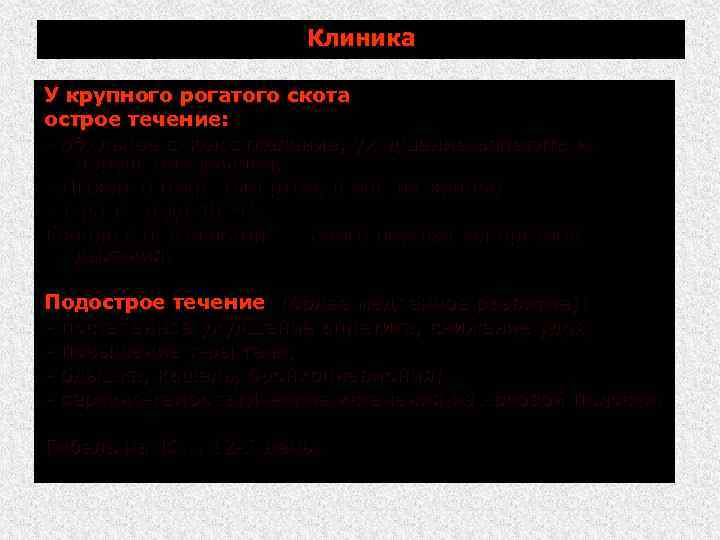 Клиника У крупного рогатого скота острое течение: обильное слюноотделение, ухудшение аппетита и нарушение жвачки;