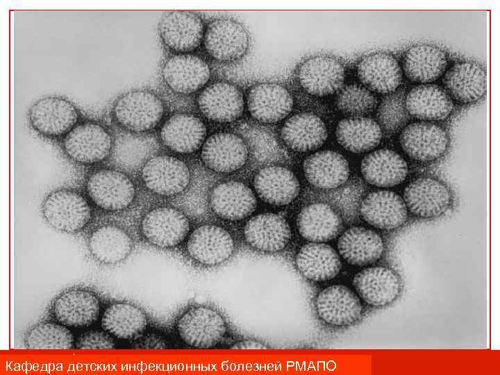 Кафедра детских инфекционных болезней РМАПО 
