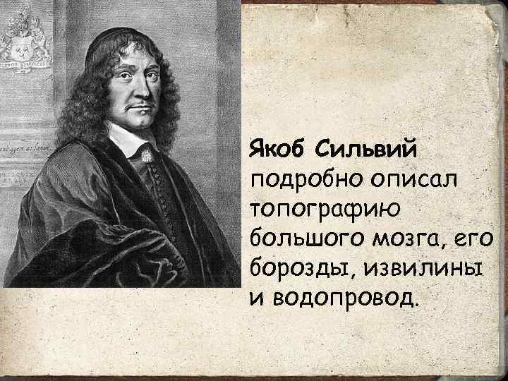 Якоб Сильвий подробно описал топографию большого мозга, его борозды, извилины и водопровод. 