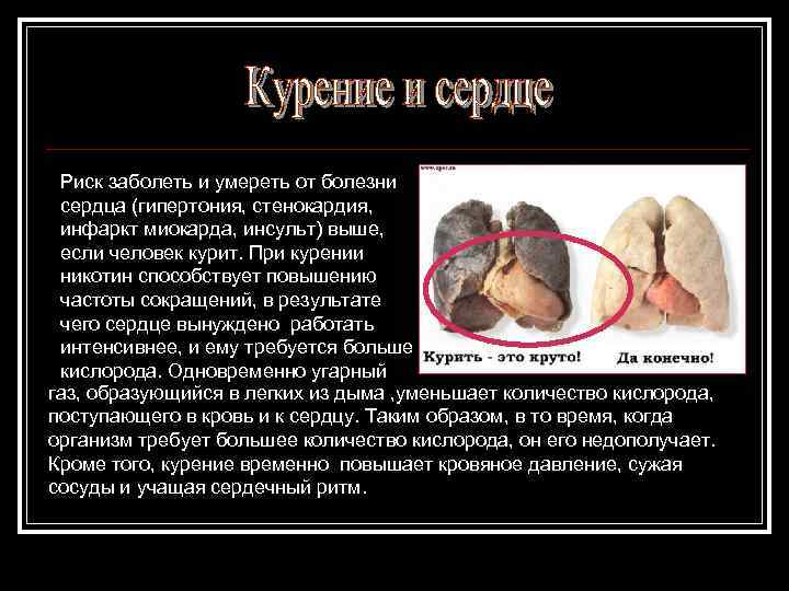 Риск заболеть и умереть от болезни сердца (гипертония, стенокардия, инфаркт миокарда, инсульт) выше, если