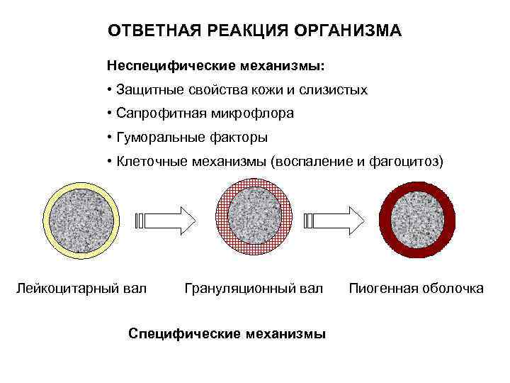 Ответная реакция