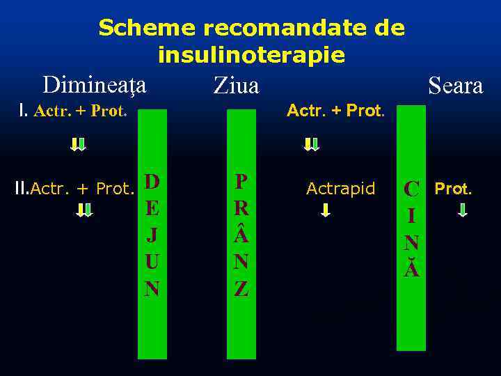 Scheme recomandate de insulinoterapie Dimineaţa I. Actr. + Prot. Ziua Seara Аctr. + Prot.