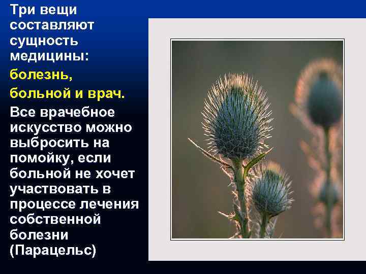 Три вещи составляют сущность медицины: болезнь, больной и врач. Все врачебное искусство можно выбросить