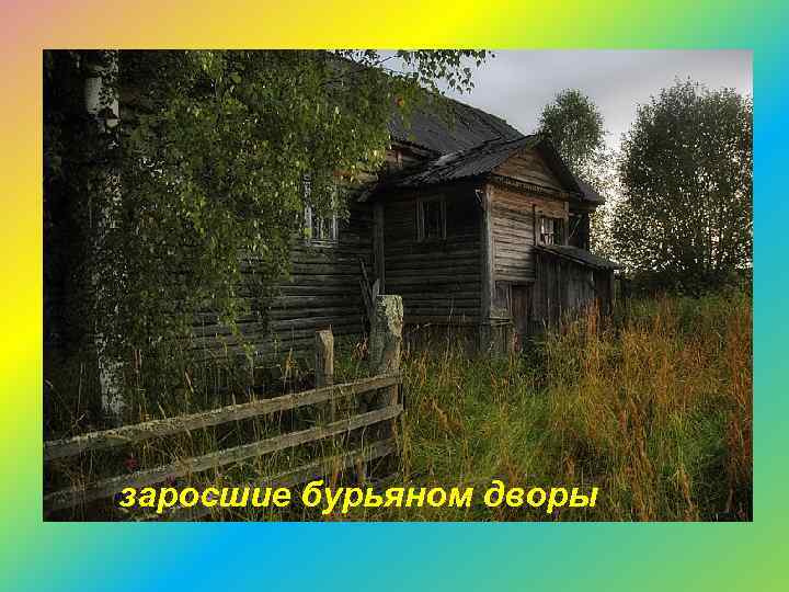 заросшие бурьяном дворы 