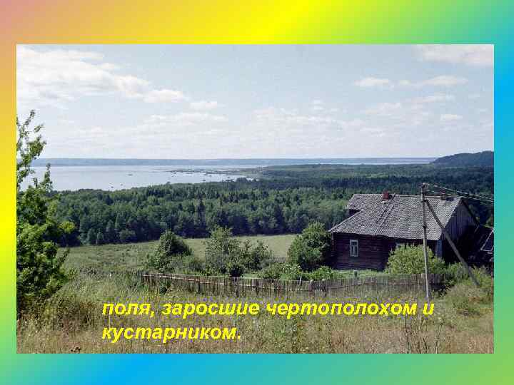 поля, заросшие чертополохом и кустарником. 