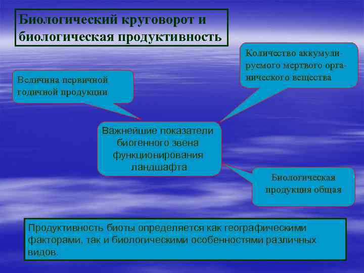 Биологический круговорот и биологическая продуктивность Величина первичной годичной продукции Важнейшие показатели биогенного звена функционирования