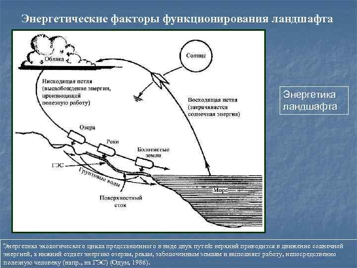 Энергетические факторы функционирования ландшафта Энергетика экологического цикла представленного в виде двух путей: верхний приводится