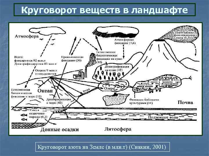 Круговорот веществ в ландшафте Круговорот азота на Земле (в млн. т) (Снакин, 2001) 