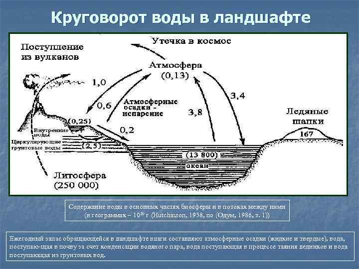 Круговорот воды в ландшафте Содержание воды в основных частях биосферы и в потоках между