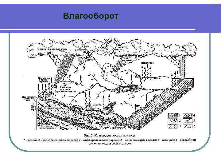 Влагооборот 