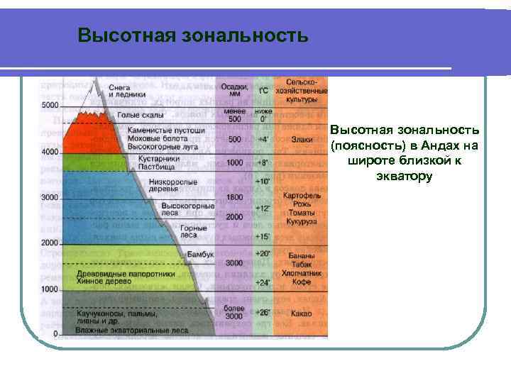 Высотная зональность (поясность) в Андах на широте близкой к экватору 