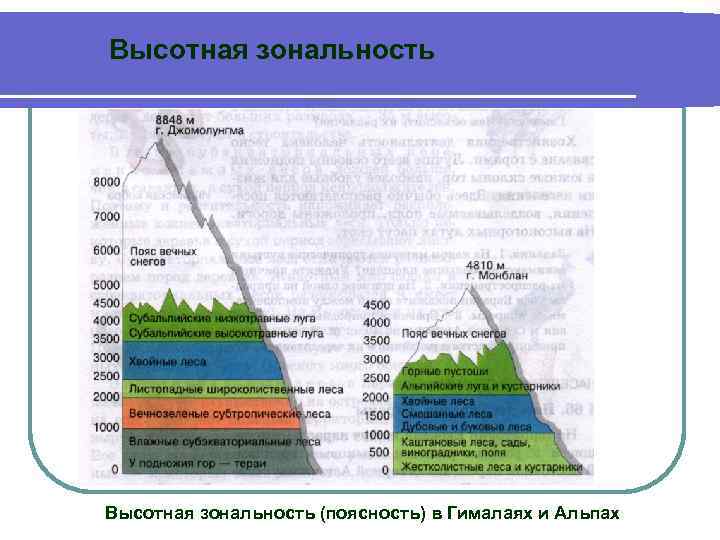 Зональность рельефа