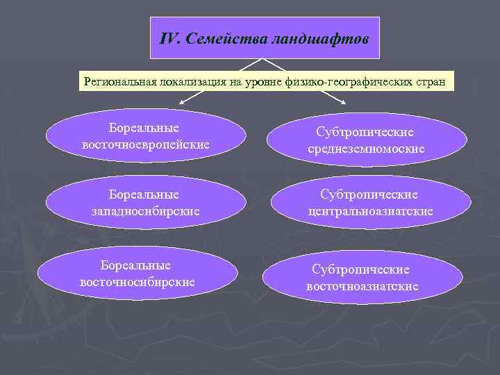 IV. Семейства ландшафтов Региональная локализация на уровне физико-географических стран Бореальные восточноевропейские Бореальные западносибирские Бореальные