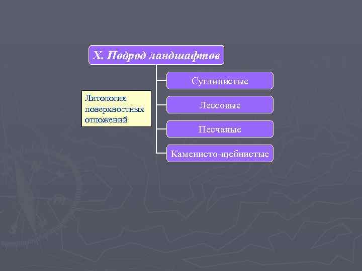 X. Подрод ландшафтов Суглинистые Литология поверхностных отложений Лессовые Песчаные Каменисто-щебнистые 