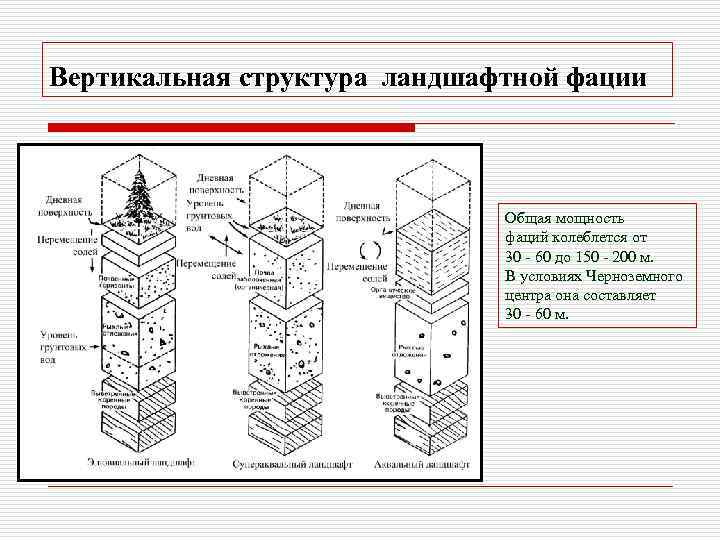 Вертикальная структура ландшафтной фации Общая мощность фаций колеблется от 30 - 60 до 150