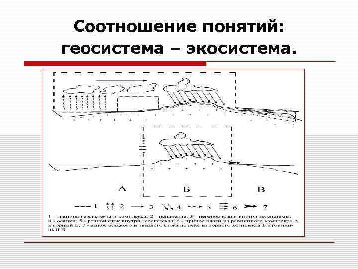 Соотношение понятий: геосистема – экосистема. 