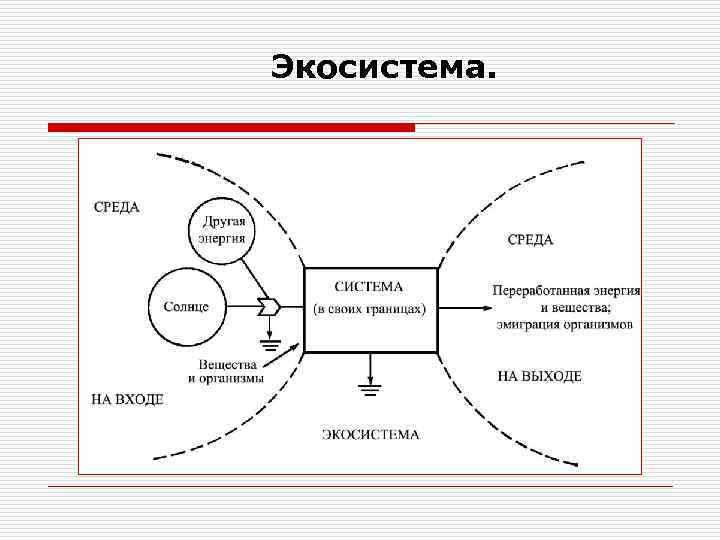 Экосистема. 