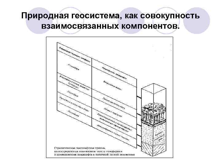 Природная геосистема, как совокупность взаимосвязанных компонентов. 