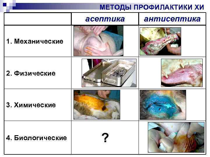 Инцизионная эксцизионная биопсия презентация