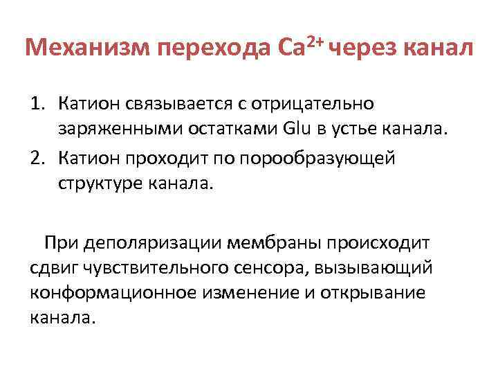 Механизм перехода Ca 2+ через канал 1. Катион связывается с отрицательно заряженными остатками Glu