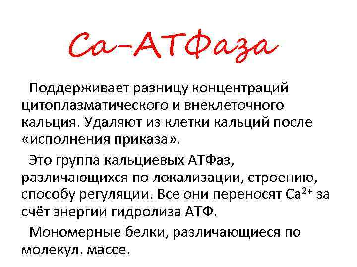 Ca-АТФаза Поддерживает разницу концентраций цитоплазматического и внеклеточного кальция. Удаляют из клетки кальций после «исполнения