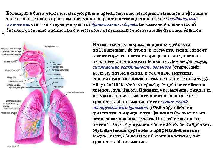 Хроническая пневмония