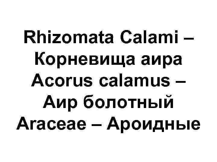 Rhizomata Calami – Корневища аира Acorus calamus – Аир болотный Araceae – Ароидные 