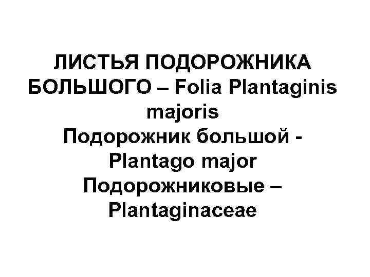 ЛИСТЬЯ ПОДОРОЖНИКА БОЛЬШОГО – Folia Plantaginis majoris Подорожник большой Plantago major Подорожниковые – Plantaginaceae