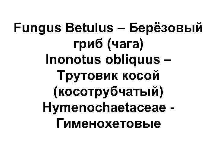Fungus Betulus – Берёзовый гриб (чага) Inonotus obliquus – Трутовик косой (косотрубчатый) Hymenochaetaceae Гименохетовые