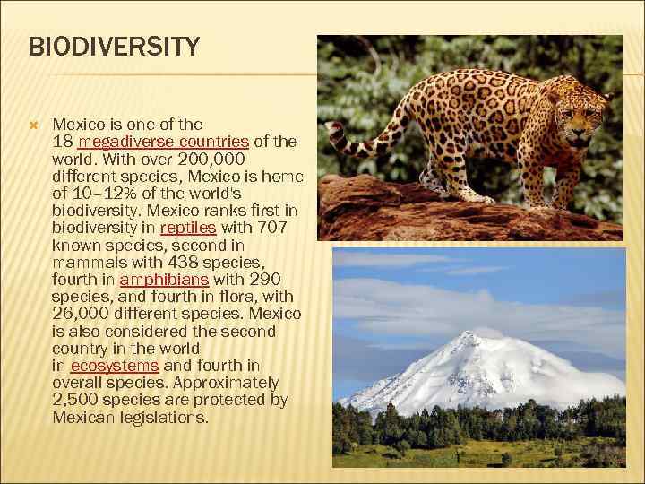BIODIVERSITY Mexico is one of the 18 megadiverse countries of the world. With over
