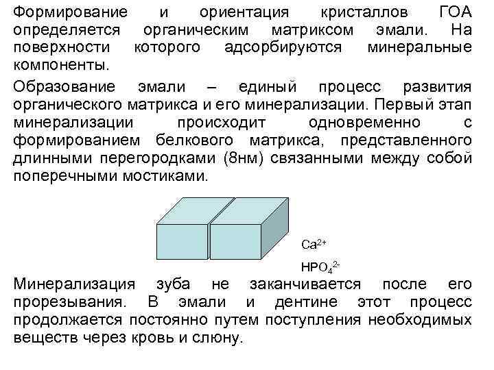 Формирование и ориентация кристаллов ГОА определяется органическим матриксом эмали. На поверхности которого адсорбируются минеральные