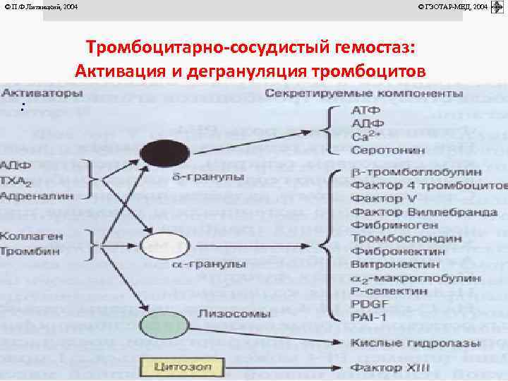 © П. Ф. Литвицкий, 2004 © ГЭОТАР-МЕД, 2004 Тромбоцитарно-сосудистый гемостаз: Активация и дегрануляция тромбоцитов