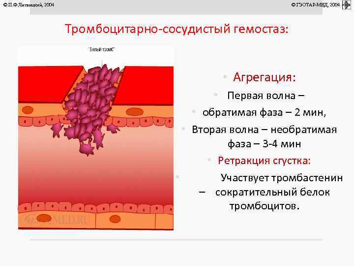 © П. Ф. Литвицкий, 2004 © ГЭОТАР-МЕД, 2004 Тромбоцитарно-сосудистый гемостаз: • Агрегация: • Первая