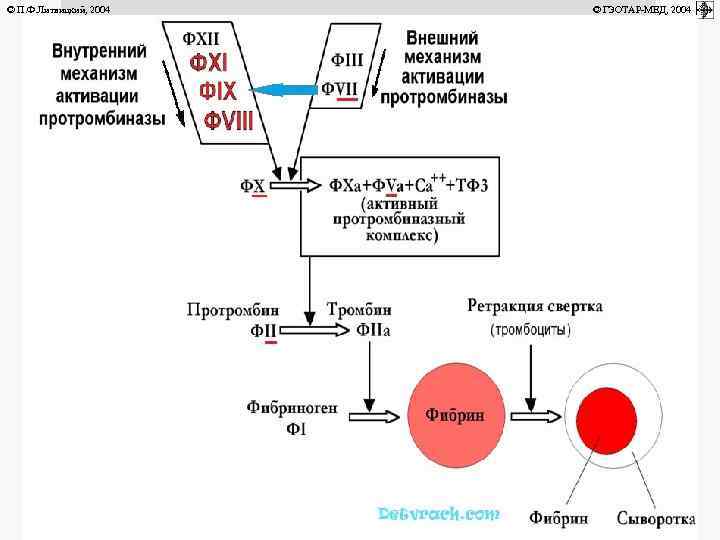 © П. Ф. Литвицкий, 2004 © ГЭОТАР-МЕД, 2004 