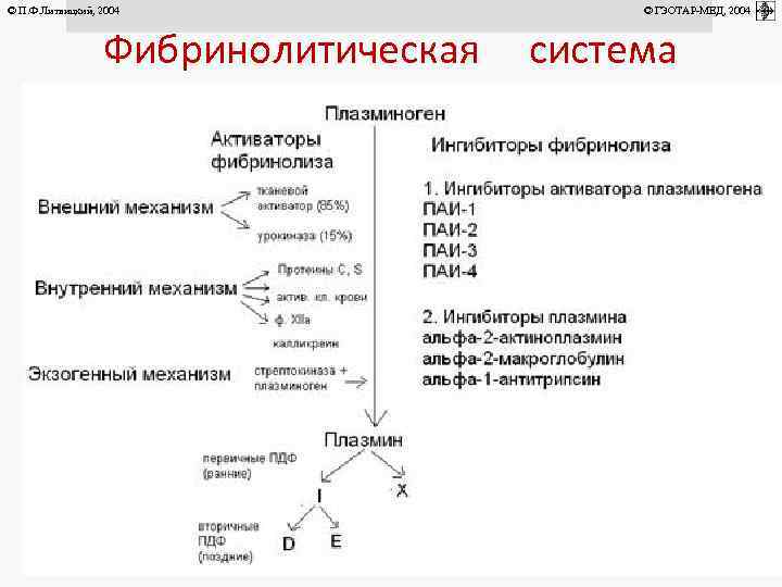 © П. Ф. Литвицкий, 2004 Фибринолитическая крови © ГЭОТАР-МЕД, 2004 система 