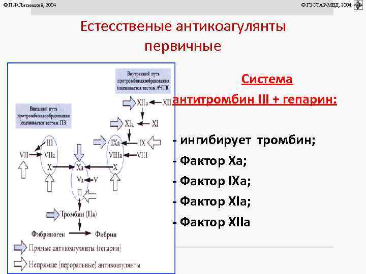 © П. Ф. Литвицкий, 2004 © ГЭОТАР-МЕД, 2004 Естесственые антикоагулянты первичные Система антитромбин III