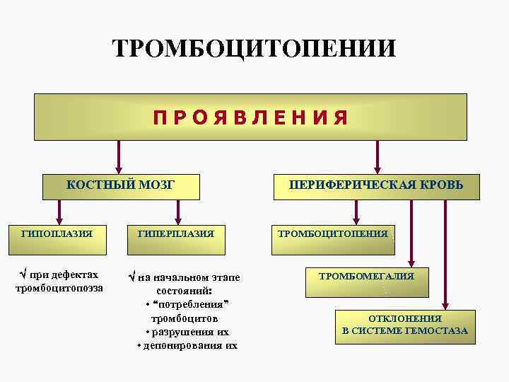 ТРОМБОЦИТОПЕНИИ ПРОЯВЛЕНИЯ КОСТНЫЙ МОЗГ ГИПОПЛАЗИЯ при дефектах тромбоцитопоэза ГИПЕРПЛАЗИЯ на начальном этапе состояний: •
