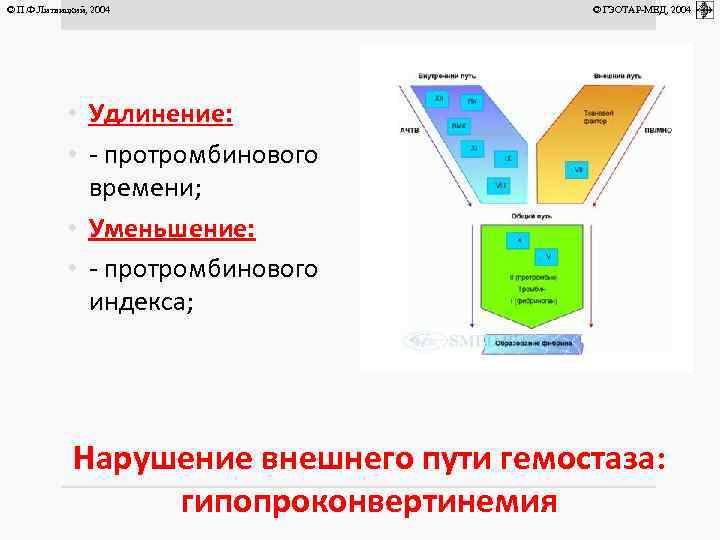 © П. Ф. Литвицкий, 2004 • Удлинение: • - протромбинового времени; • Уменьшение: •
