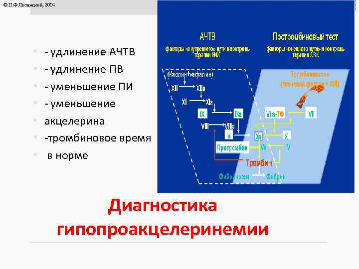 © П. Ф. Литвицкий, 2004 • • © ГЭОТАР-МЕД, 2004 - удлинение АЧТВ -