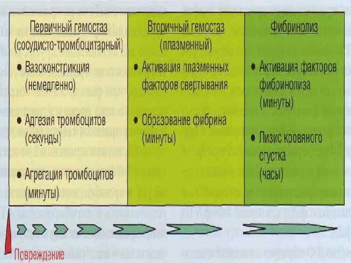 © П. Ф. Литвицкий, 2004 © ГЭОТАР-МЕД, 2004 
