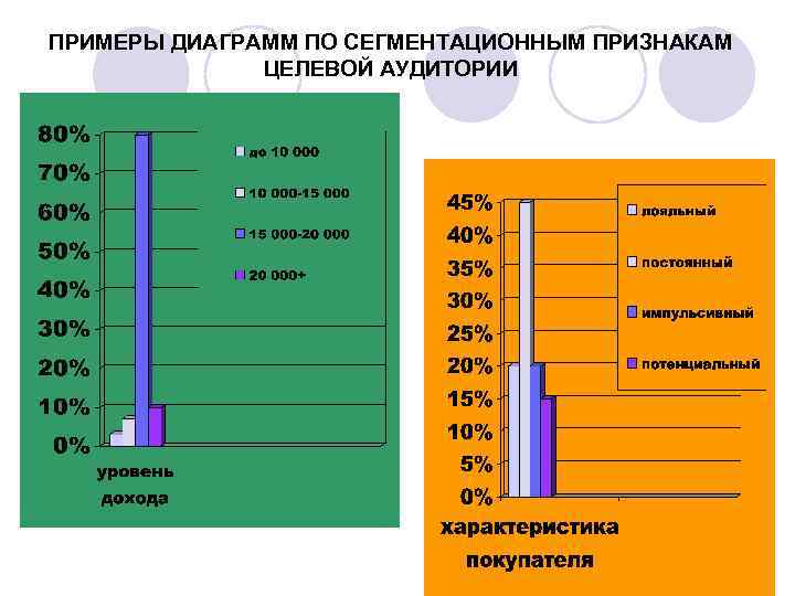 ПРИМЕРЫ ДИАГРАММ ПО СЕГМЕНТАЦИОННЫМ ПРИЗНАКАМ ЦЕЛЕВОЙ АУДИТОРИИ 
