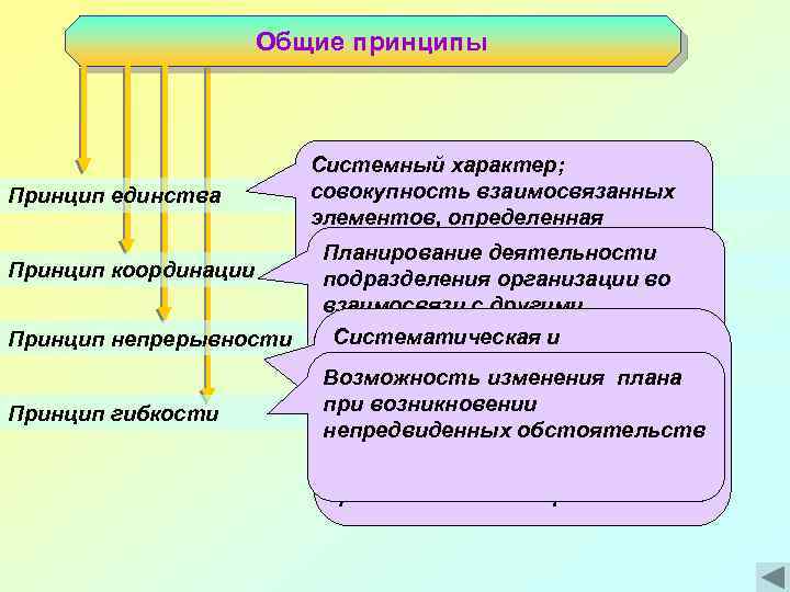 Общие принципы Принцип единства Принцип координации Принцип непрерывности Принцип гибкости Системный характер; совокупность взаимосвязанных
