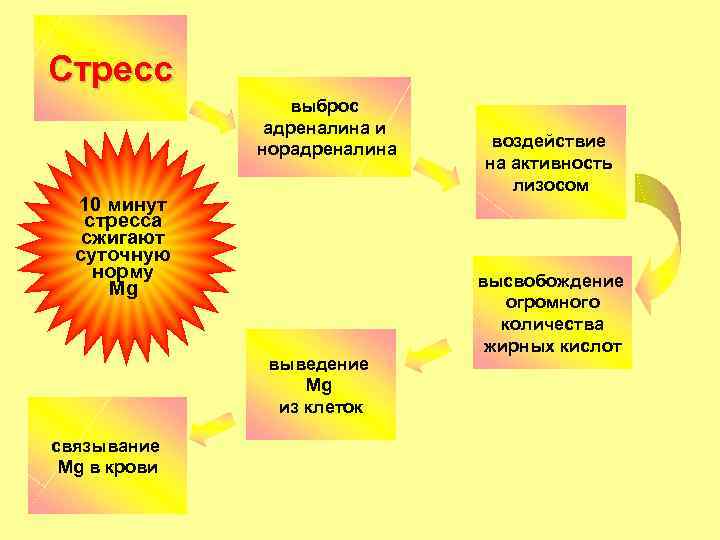 Стресс выброс адреналина и норадреналина 10 минут стресса сжигают суточную норму Mg выведение Mg