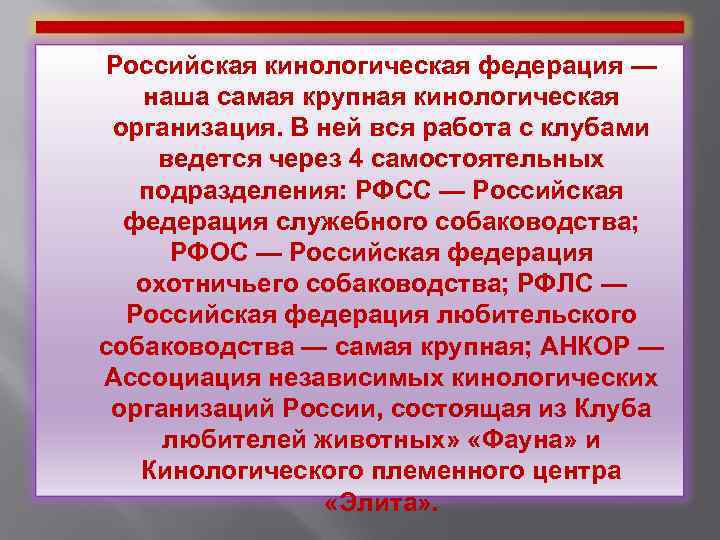 Российская кинологическая федерация — наша самая крупная кинологическая организация. В ней вся работа